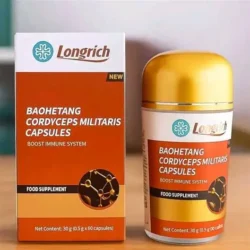 Cordyceps Militaris